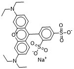 Sulforhodamine B sodium salt 3520-42-1
